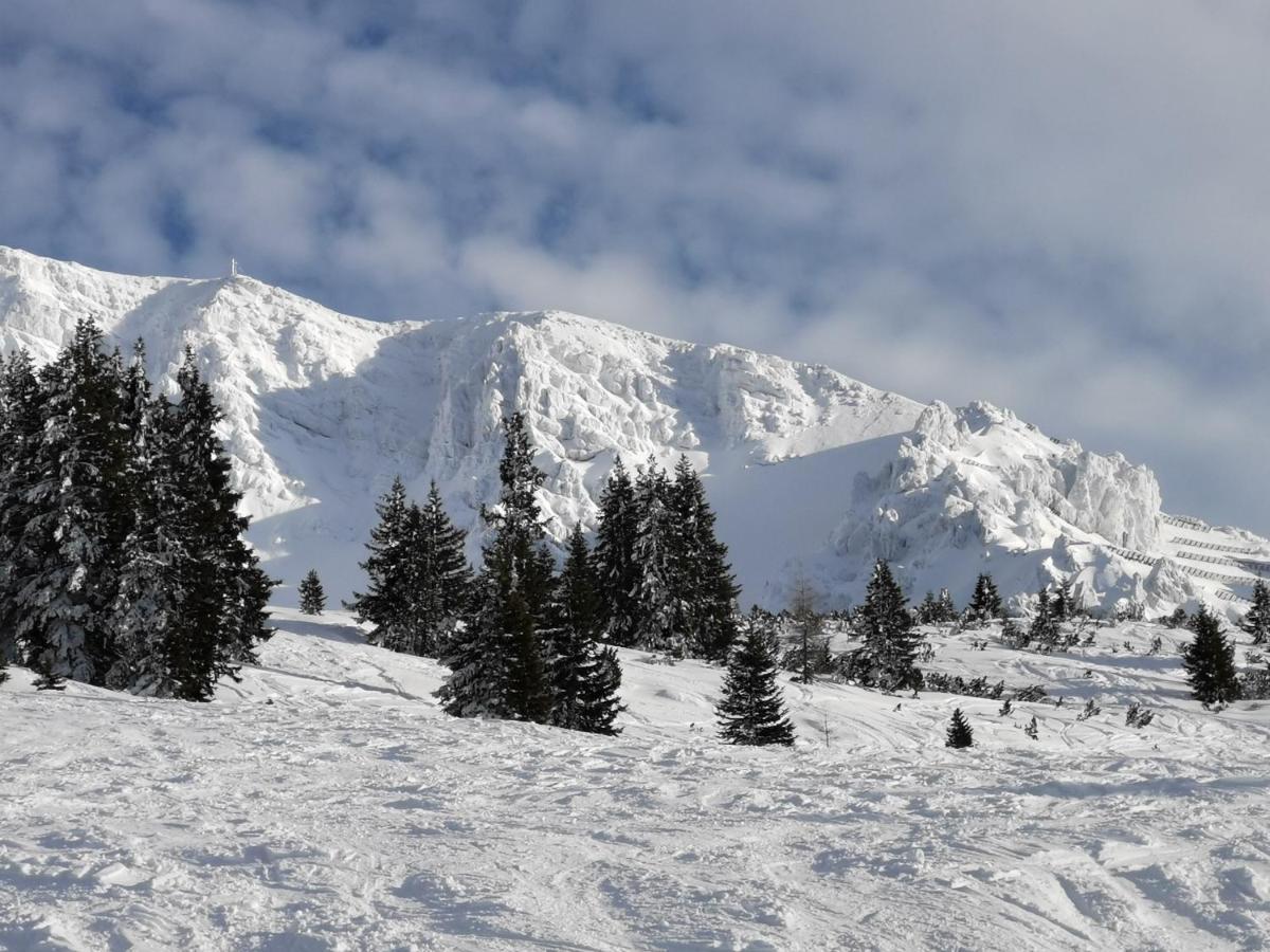 Olympia Axams Appartamento Innsbruck